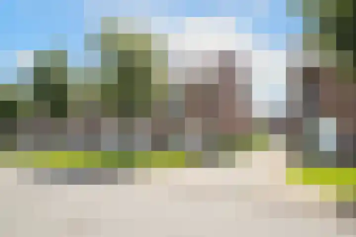 Cantharellaan 60 Vleuten thumbnail 5