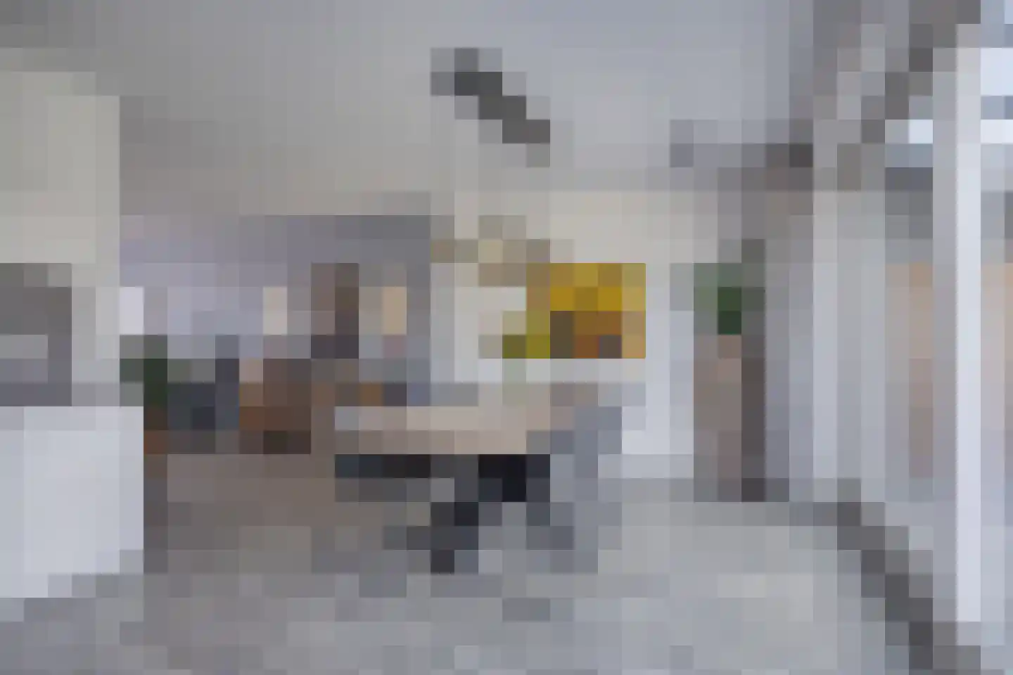 Cantheelen 135 Cuijk thumbnail 11