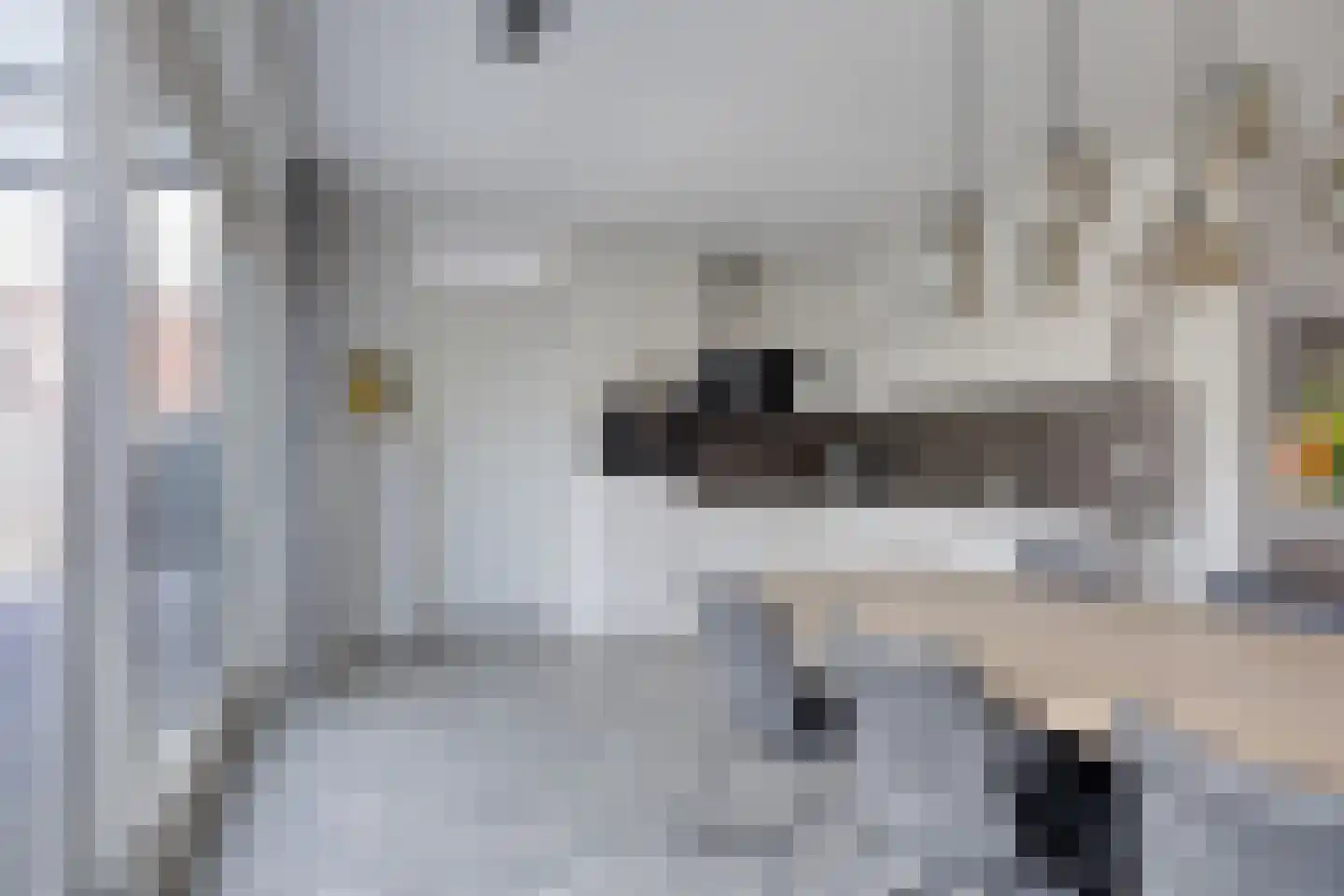 Cantheelen 135 Cuijk thumbnail 12