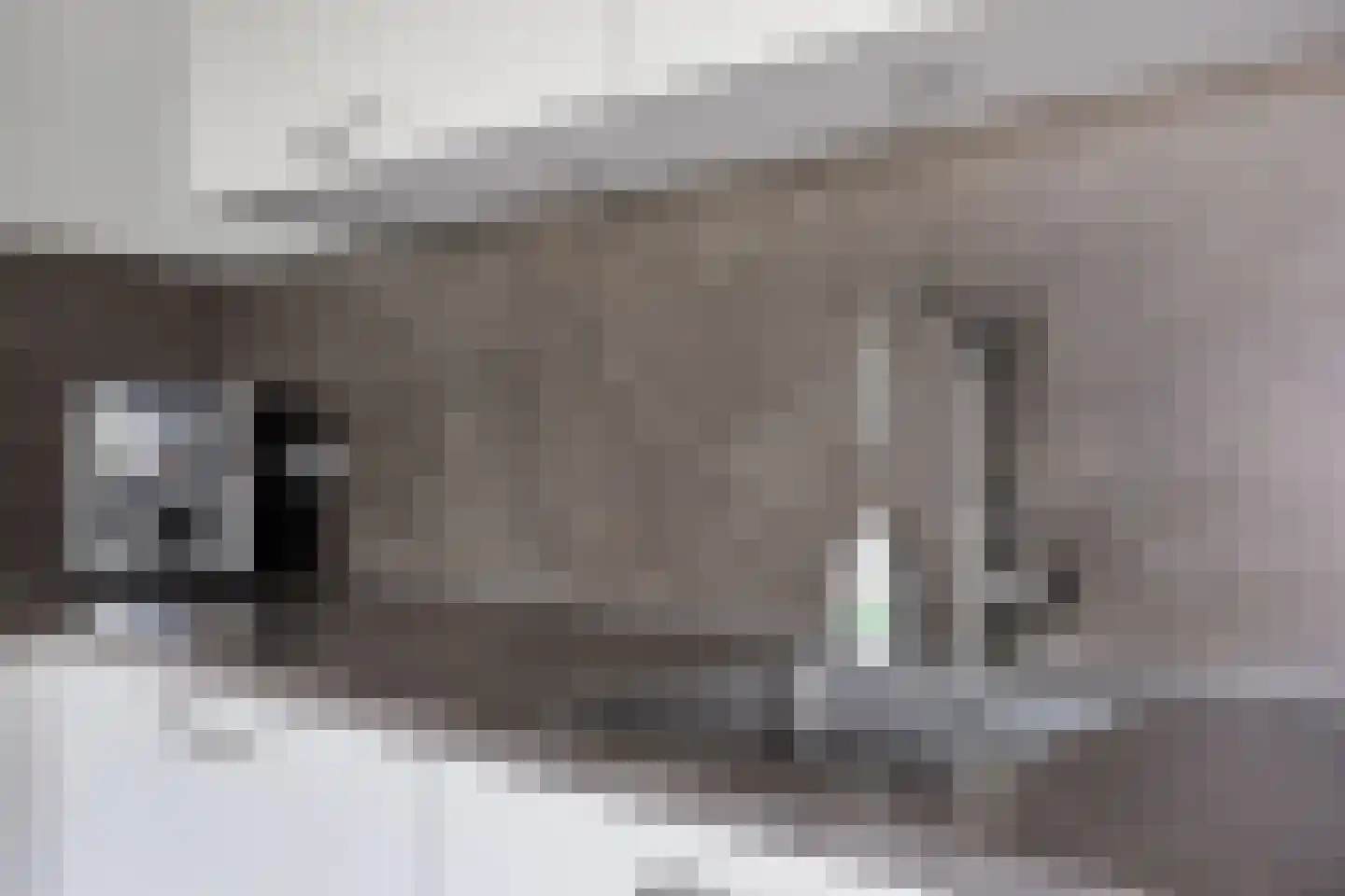 Cantheelen 135 Cuijk thumbnail 14
