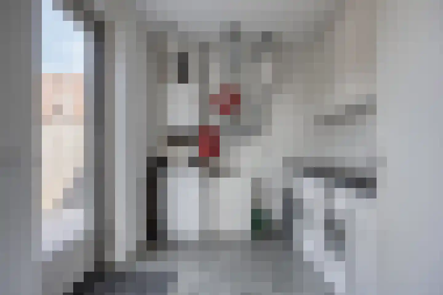 Cantheelen 135 Cuijk thumbnail 18