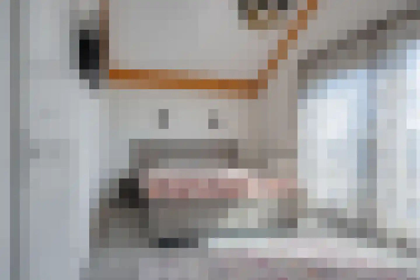Cantheelen 135 Cuijk thumbnail 20