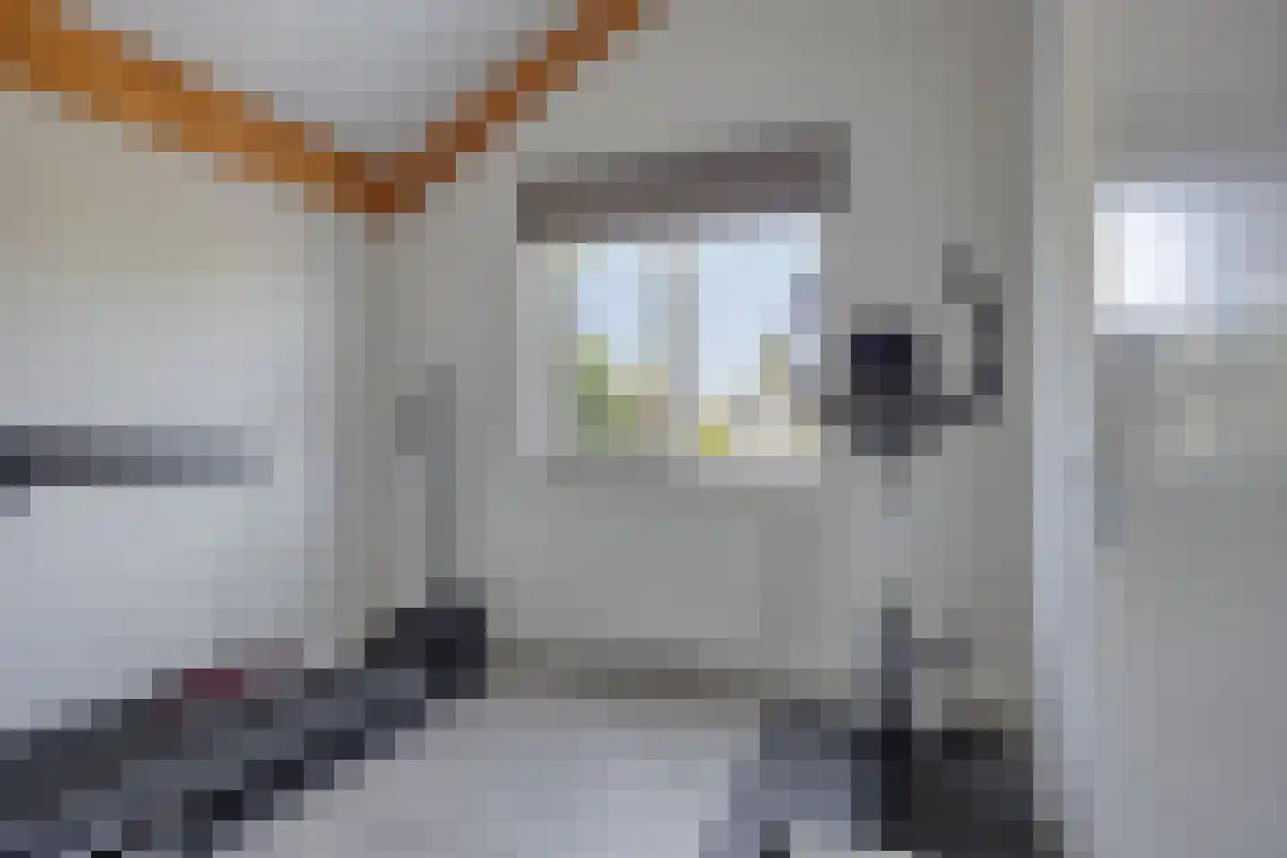 Cantheelen 135 Cuijk thumbnail 24