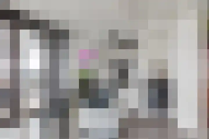Cantheelen 6 417 Cuijk thumbnail 15