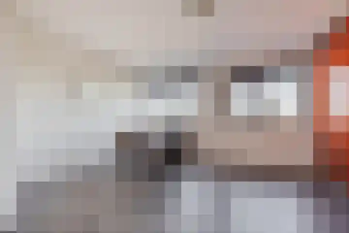 Cantheelen 6 417 Cuijk thumbnail 18
