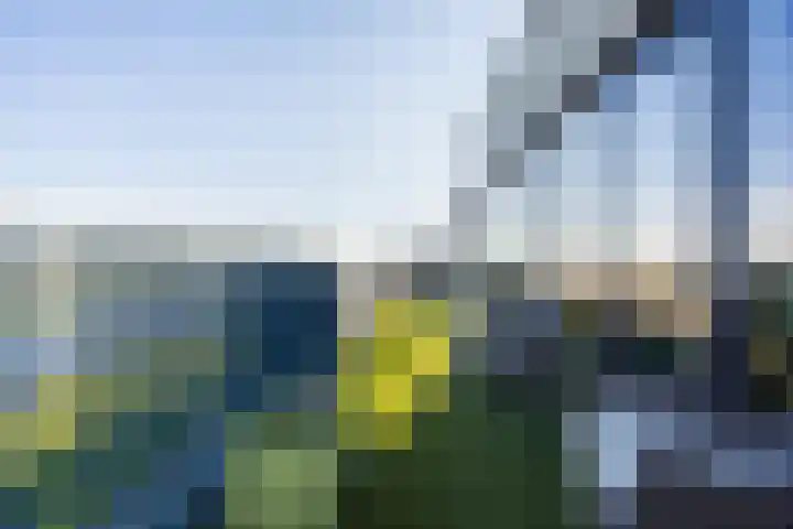 Cantheelen 6 417 Cuijk thumbnail 28