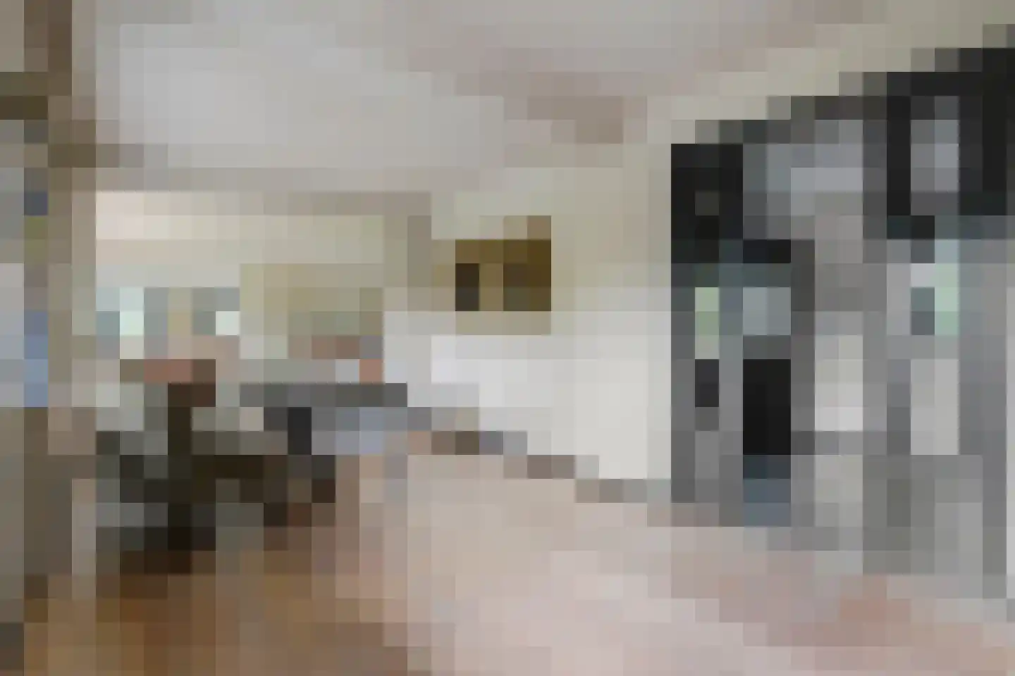 Cantineweg 21 Katwijk thumbnail 17