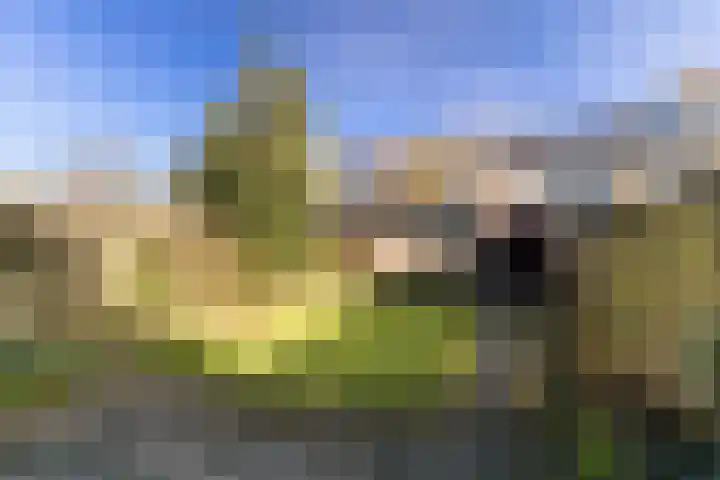 Cantondreef 10 Utrecht thumbnail 20