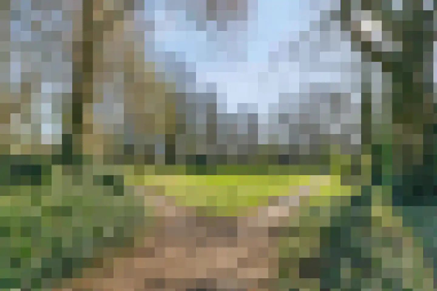Cantondreef 19 Utrecht thumbnail 31
