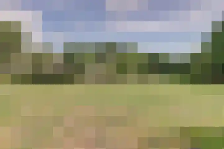 Cantondreef 35 Utrecht thumbnail 23