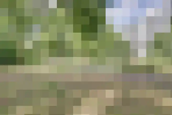 Cantondreef 35 Utrecht thumbnail 24