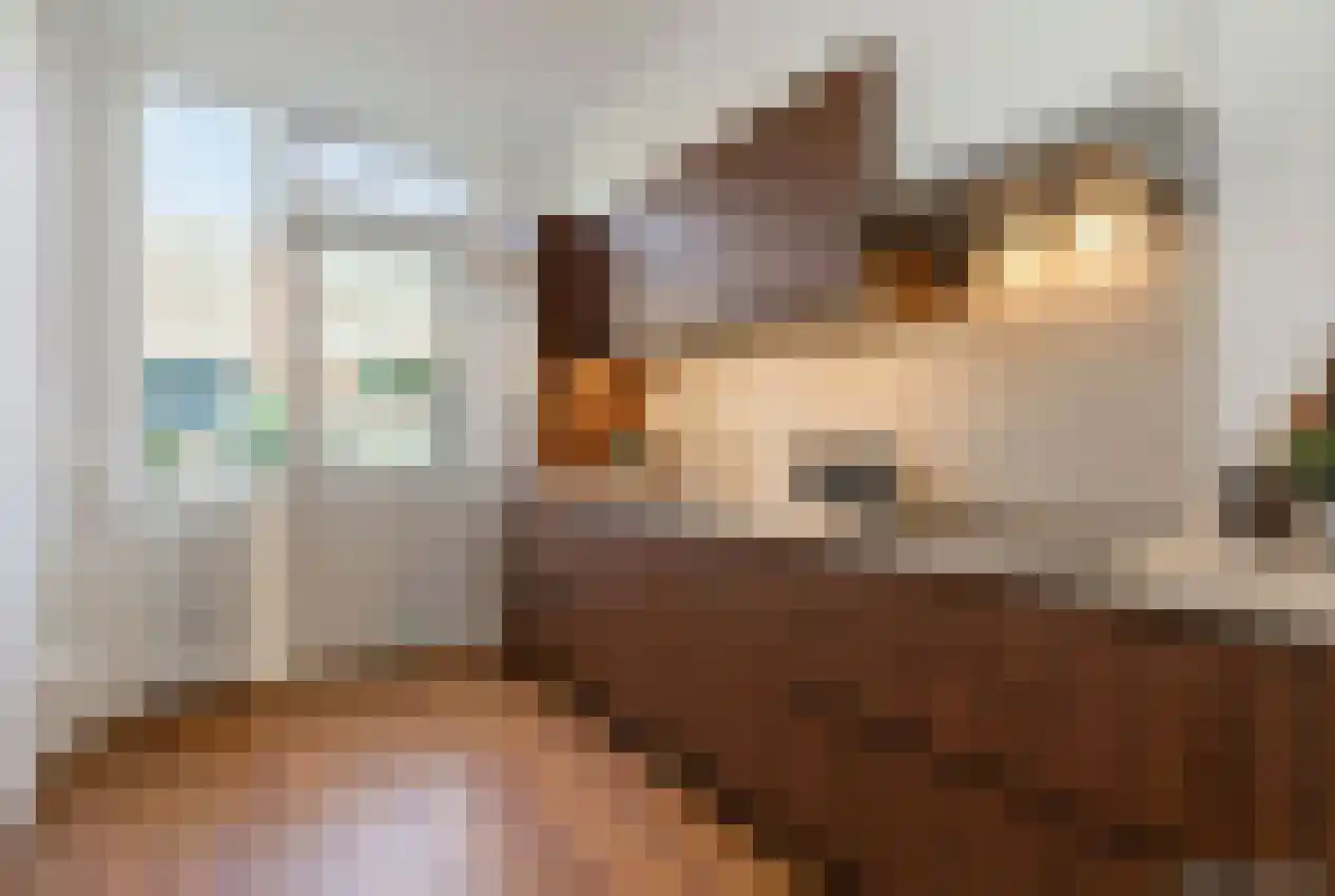 Cantondreef 4 Utrecht thumbnail 11