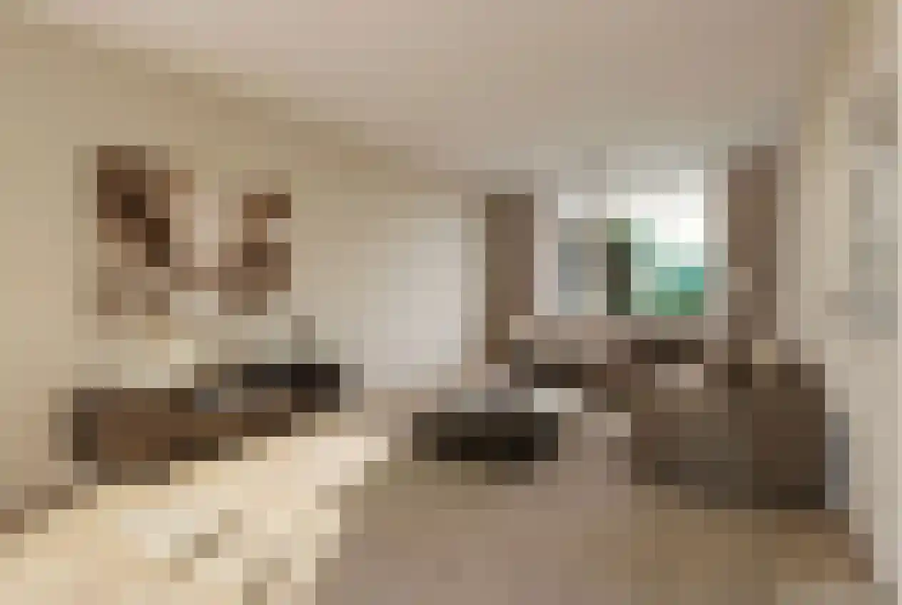 Cantondreef 4 Utrecht thumbnail 6