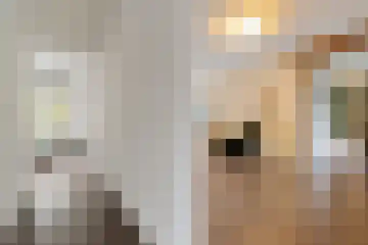 Cantondreef 43 Utrecht thumbnail 11