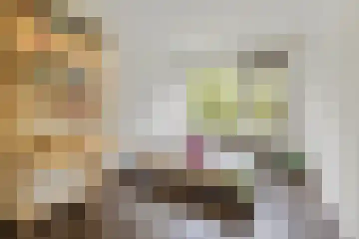 Cantondreef 43 Utrecht thumbnail 12