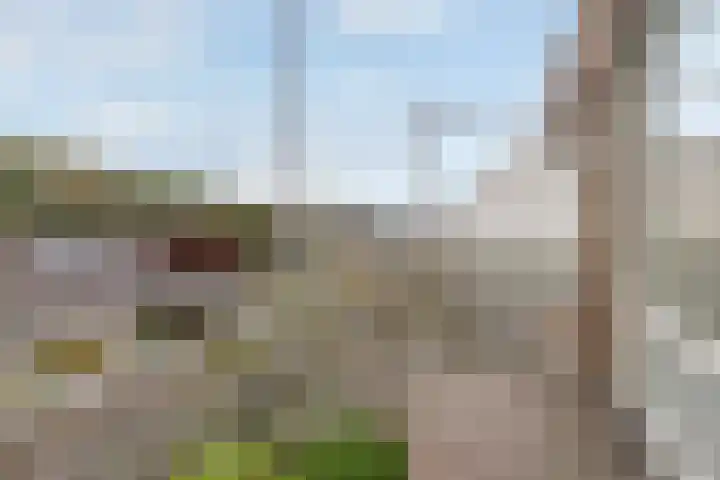 Cantondreef 43 Utrecht thumbnail 24