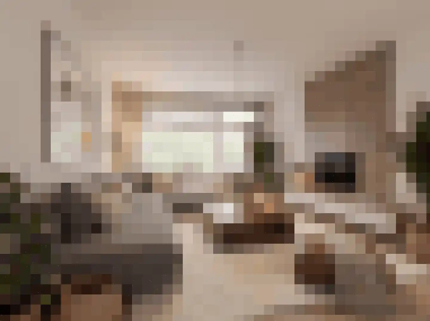 Cantondreef 61 Utrecht thumbnail 5