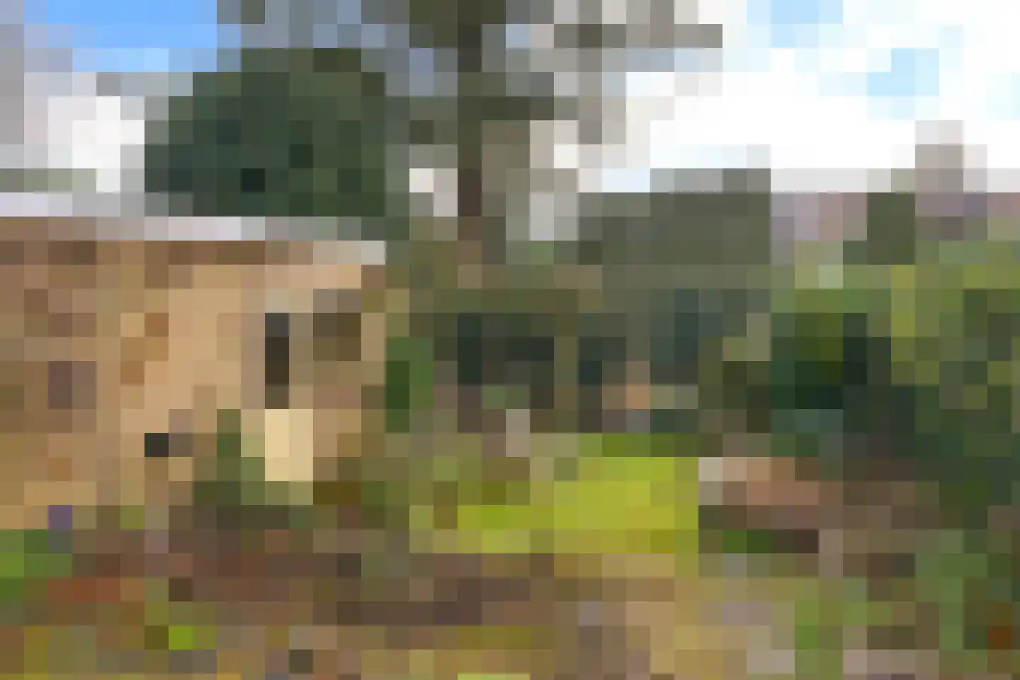 Cantonlaan 12 Baarn thumbnail 14