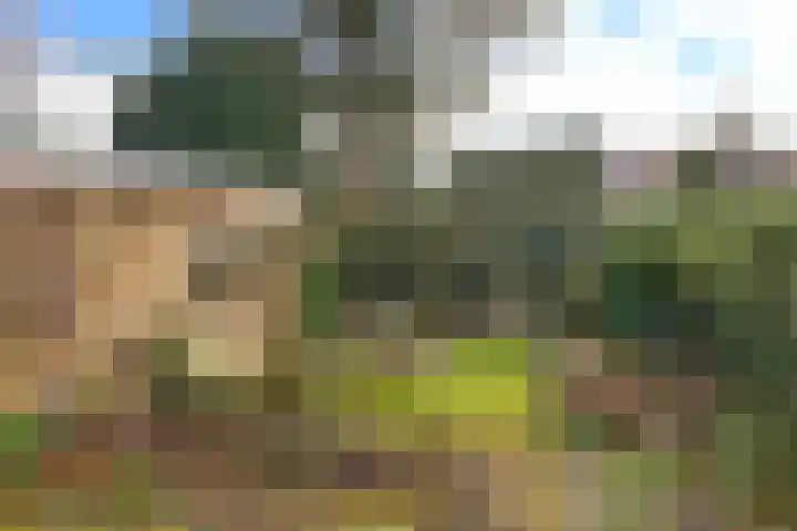 Cantonlaan 12 Baarn thumbnail 14