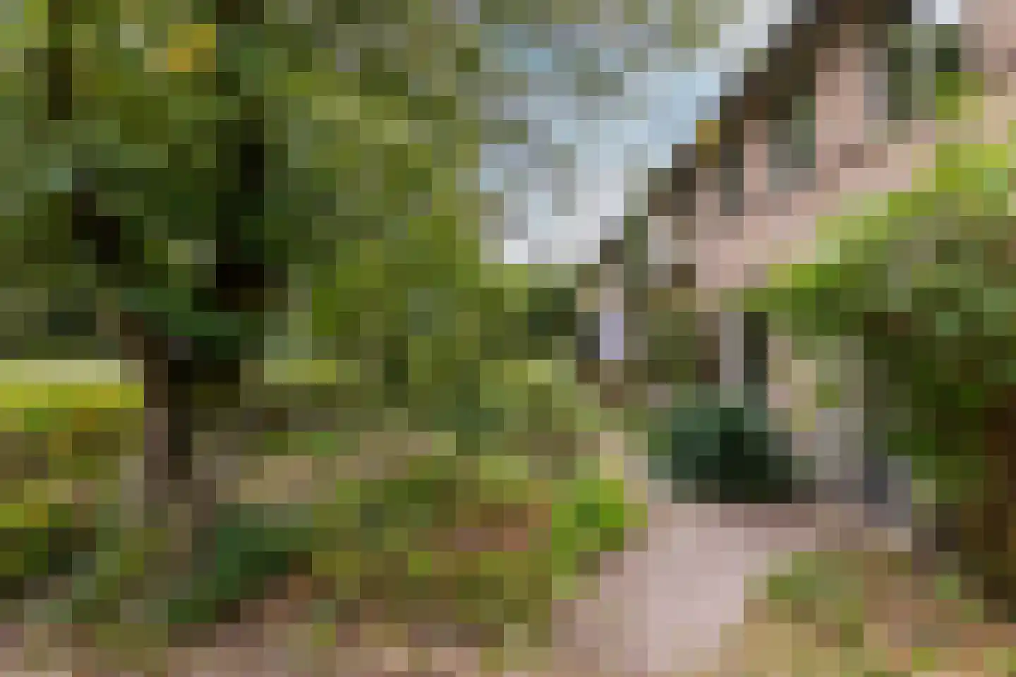 Cantorij 8 Oirschot thumbnail 10