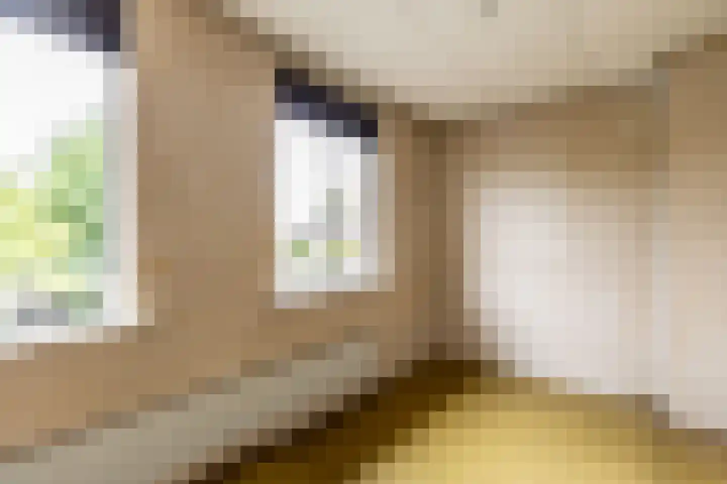 Cantorij 8 Oirschot thumbnail 26