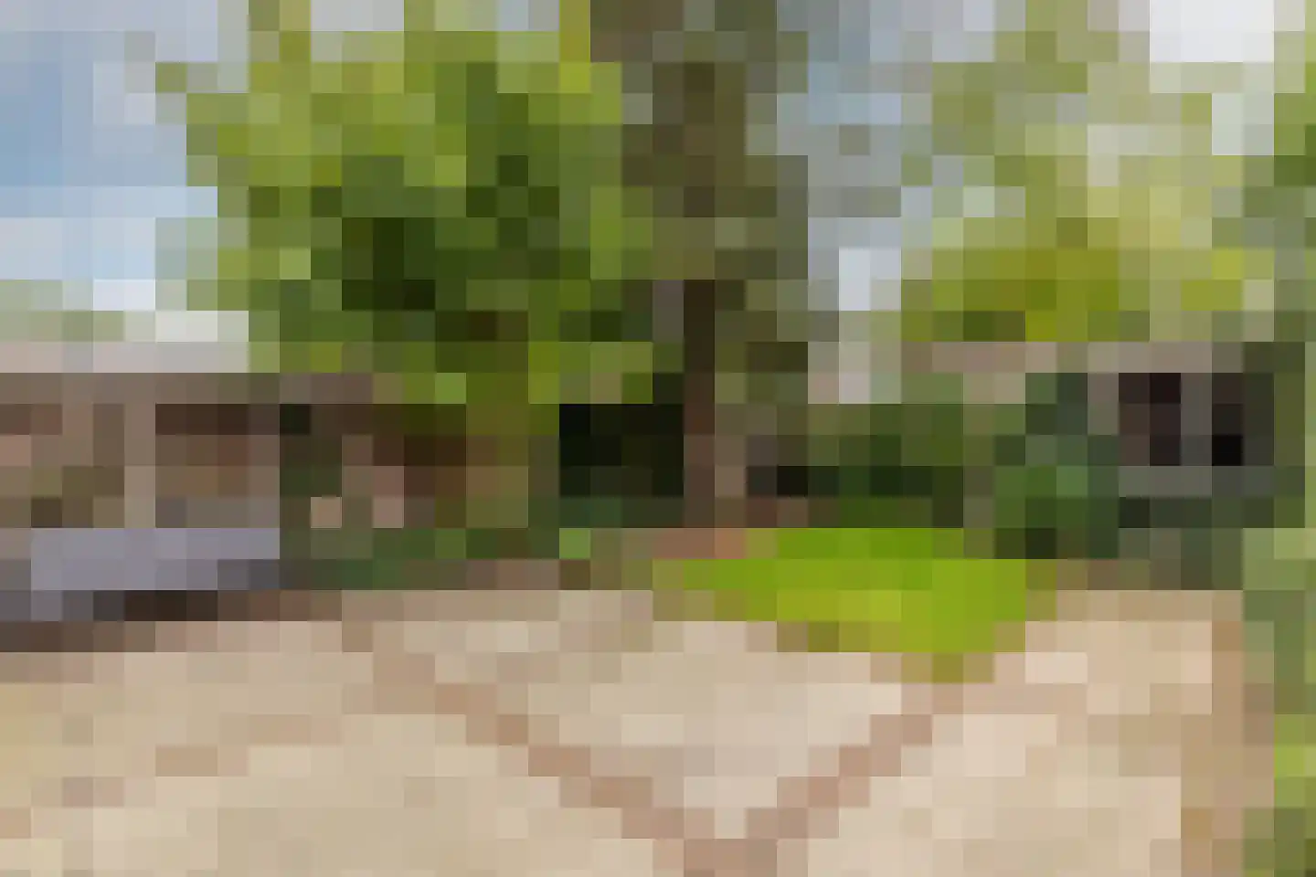 Cantorij 8 Oirschot thumbnail 38