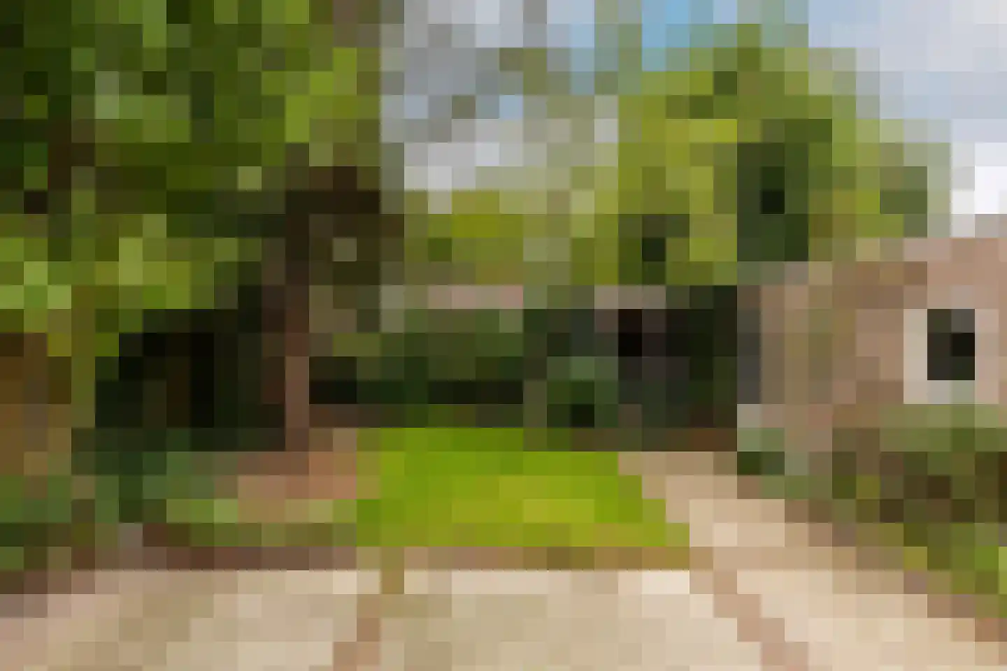 Cantorij 8 Oirschot thumbnail 39