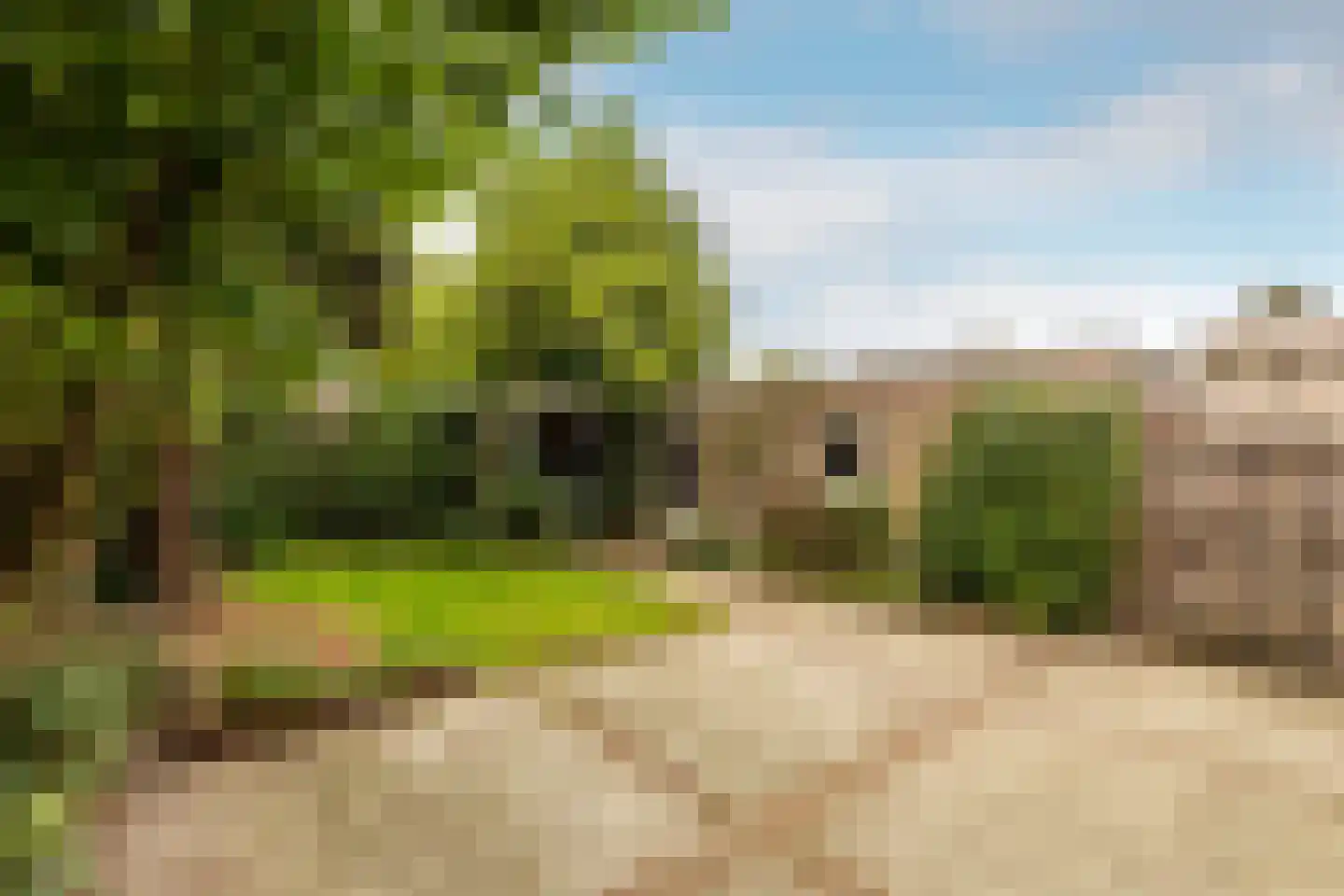 Cantorij 8 Oirschot thumbnail 40