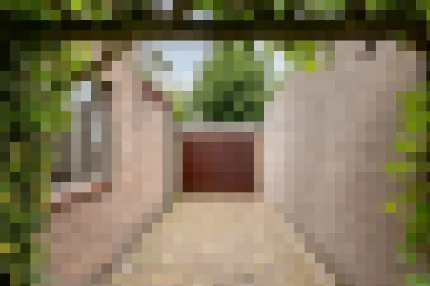 Cantorij 8 Oirschot thumbnail 41