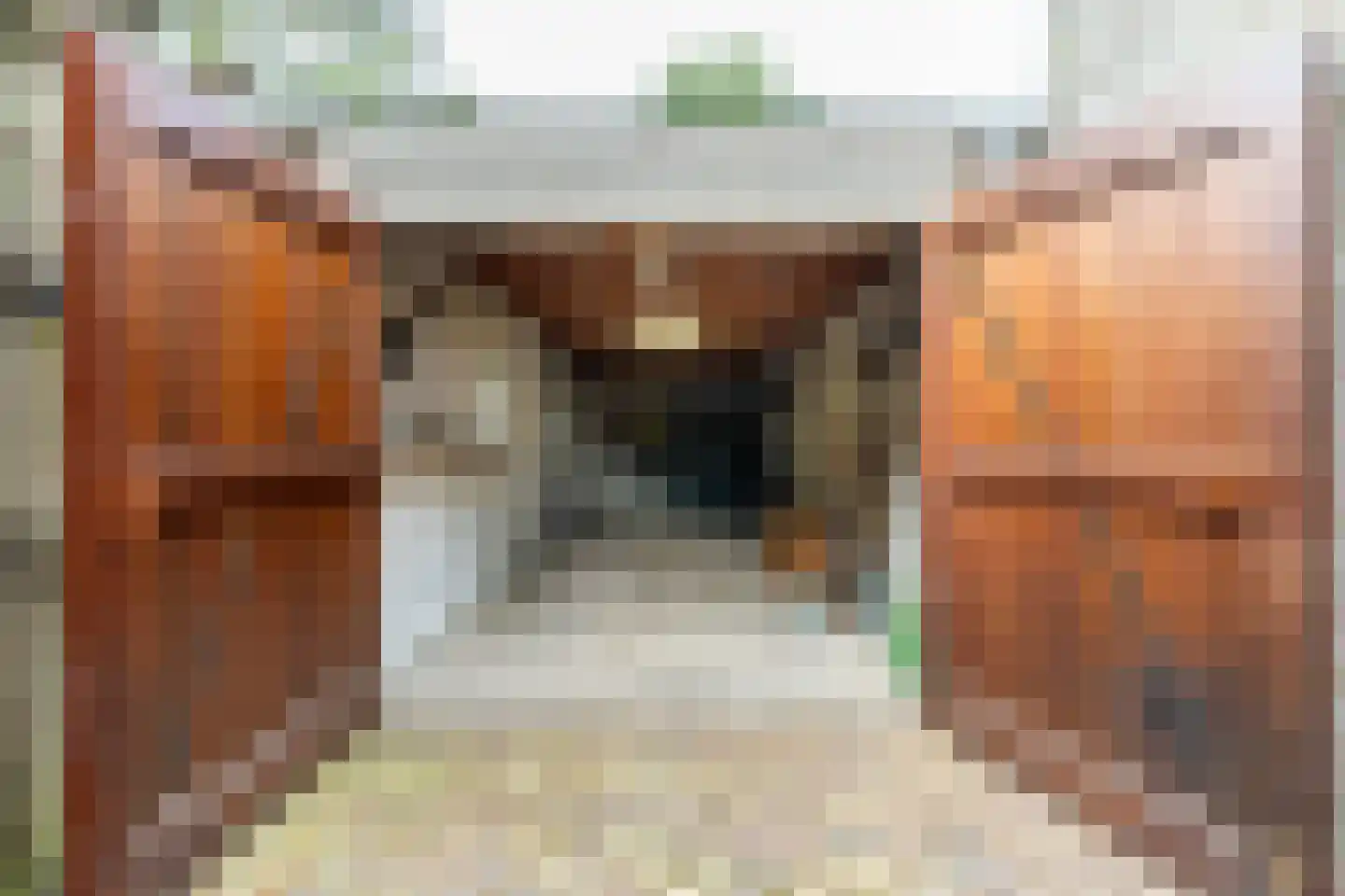 Cantorij 8 Oirschot thumbnail 42
