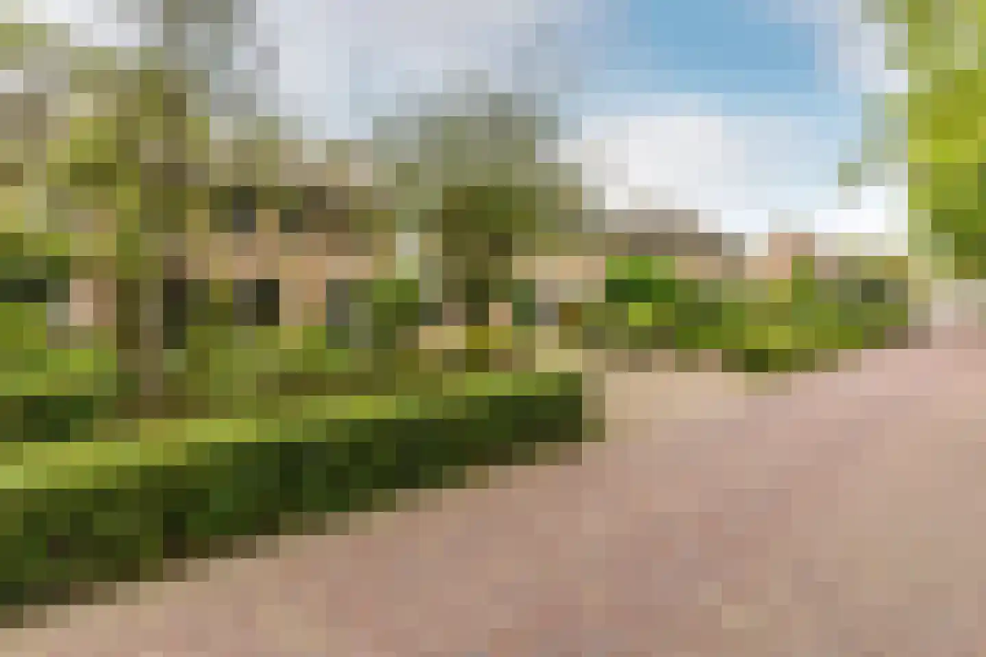 Cantorij 8 Oirschot thumbnail 45