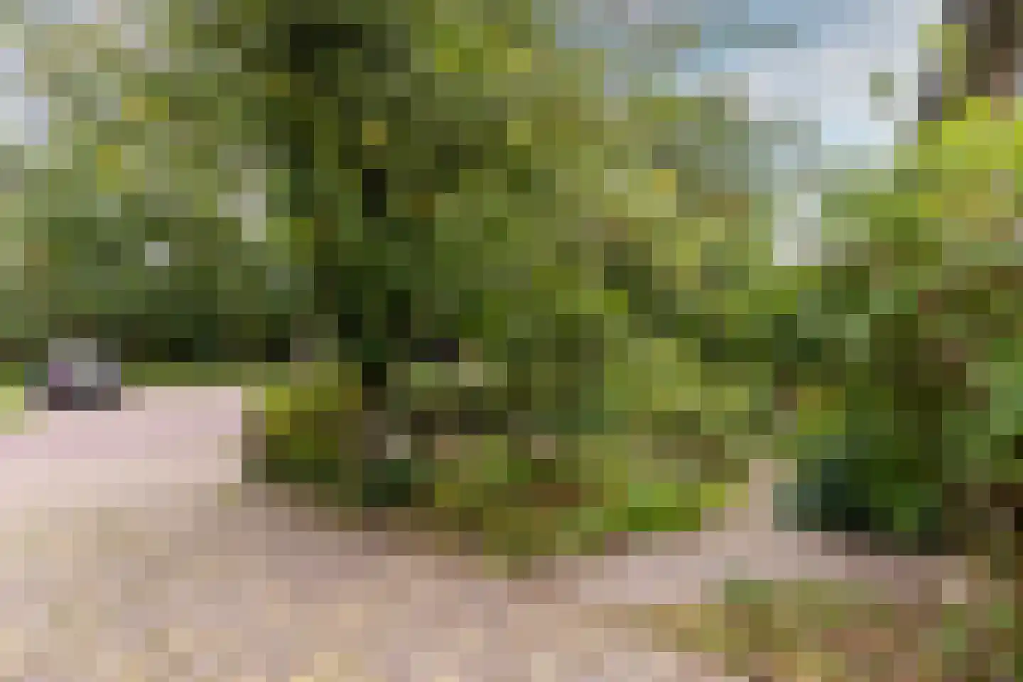 Cantorij 8 Oirschot thumbnail 46