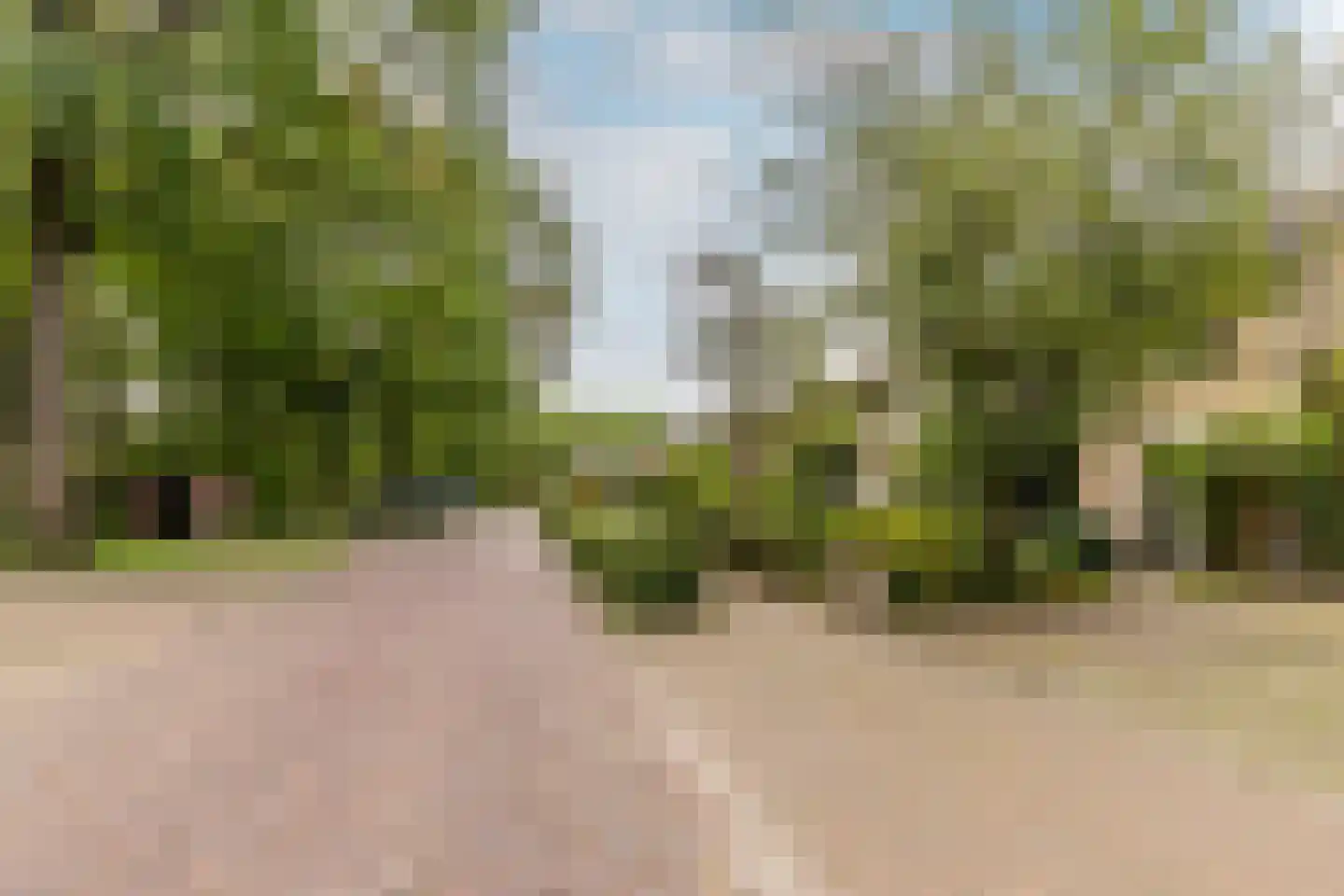 Cantorij 8 Oirschot thumbnail 47