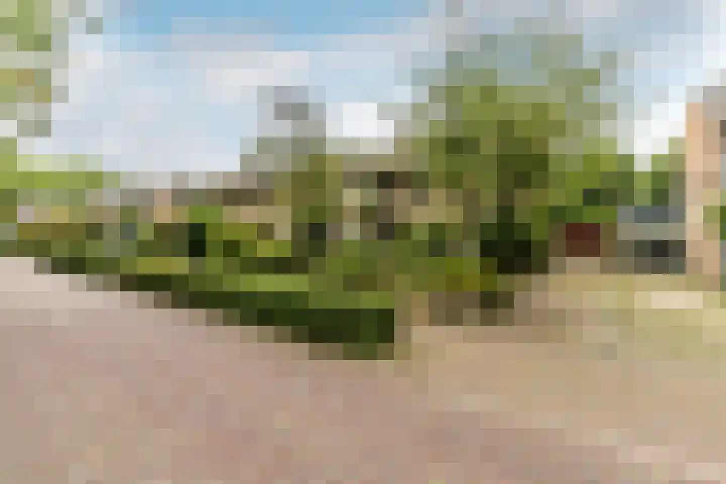 Cantorij 8 Oirschot thumbnail 8
