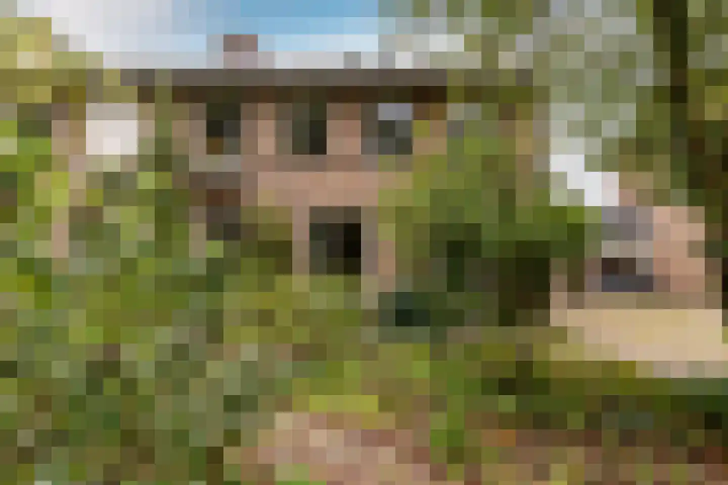 Cantorij 8 Oirschot thumbnail 9