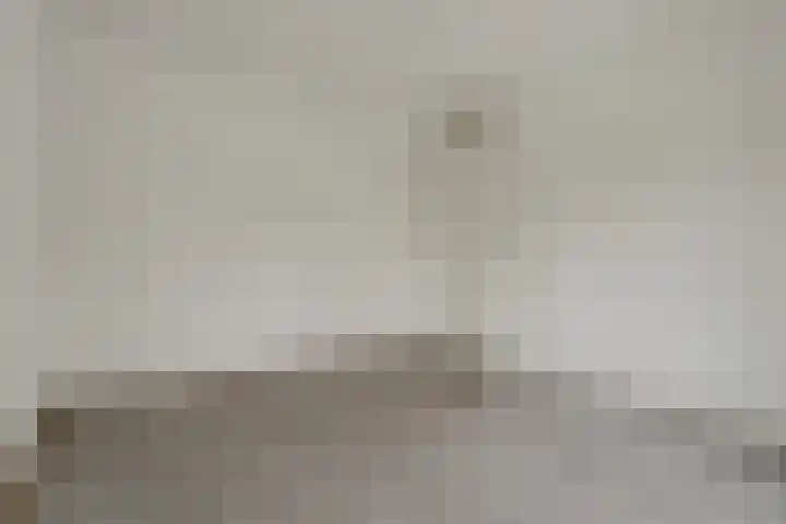 Cantorijstraat 19 Hilvarenbeek thumbnail 13