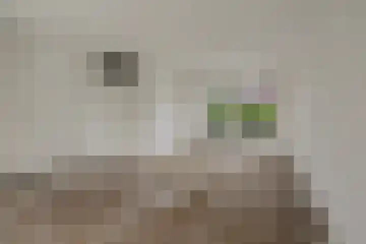 Cantorijstraat 19 Hilvarenbeek thumbnail 4