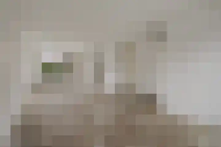 Cantorijstraat 19 Hilvarenbeek thumbnail 5