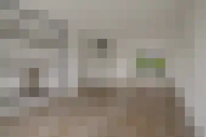 Cantorijstraat 19 Hilvarenbeek thumbnail 8