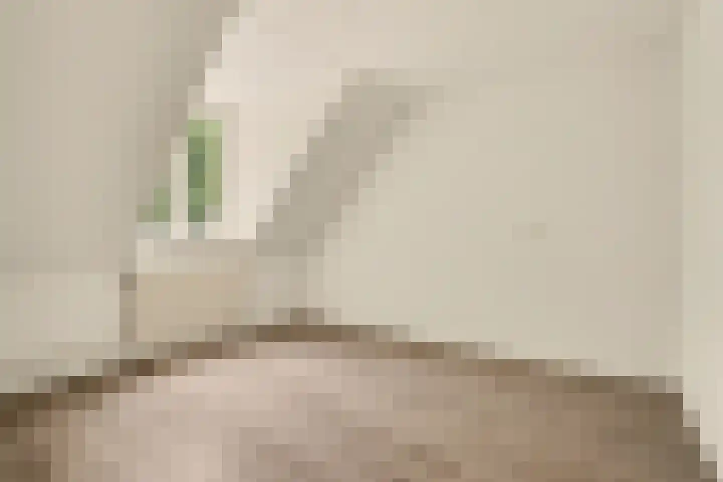 Cantorijstraat 9 Hilvarenbeek thumbnail 15