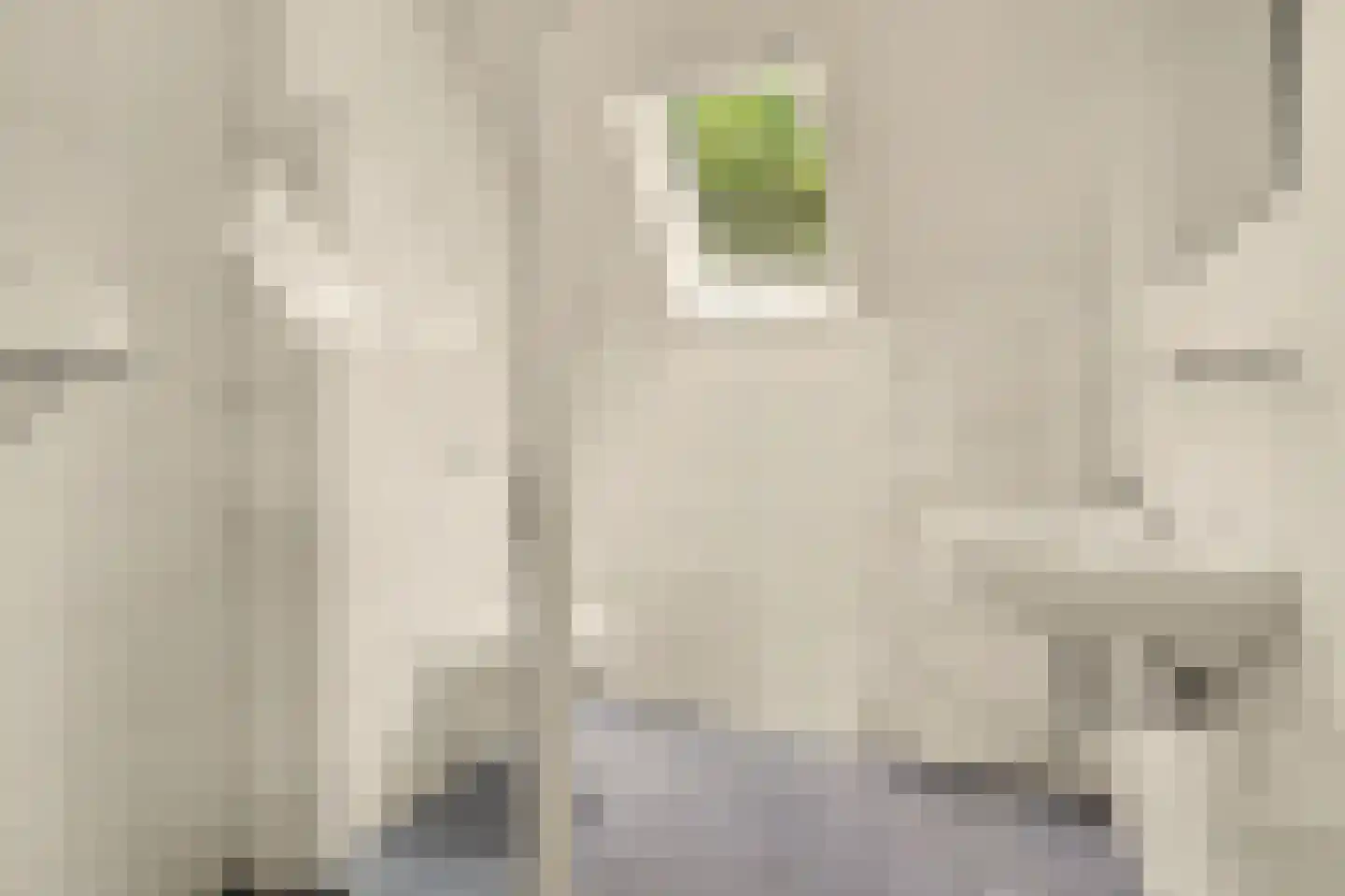 Cantorijstraat 9 Hilvarenbeek thumbnail 17