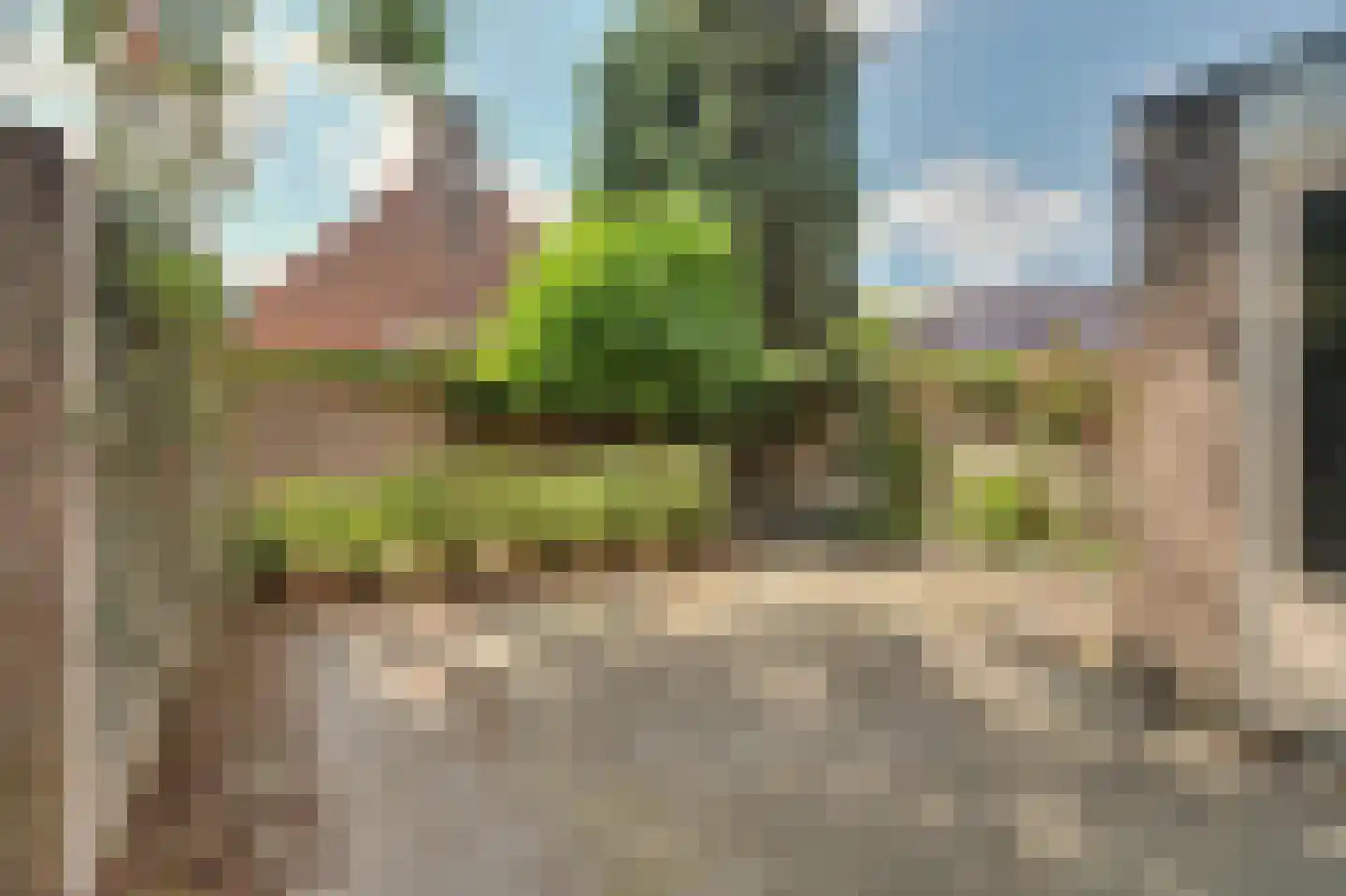 Cantorijstraat 9 Hilvarenbeek thumbnail 22