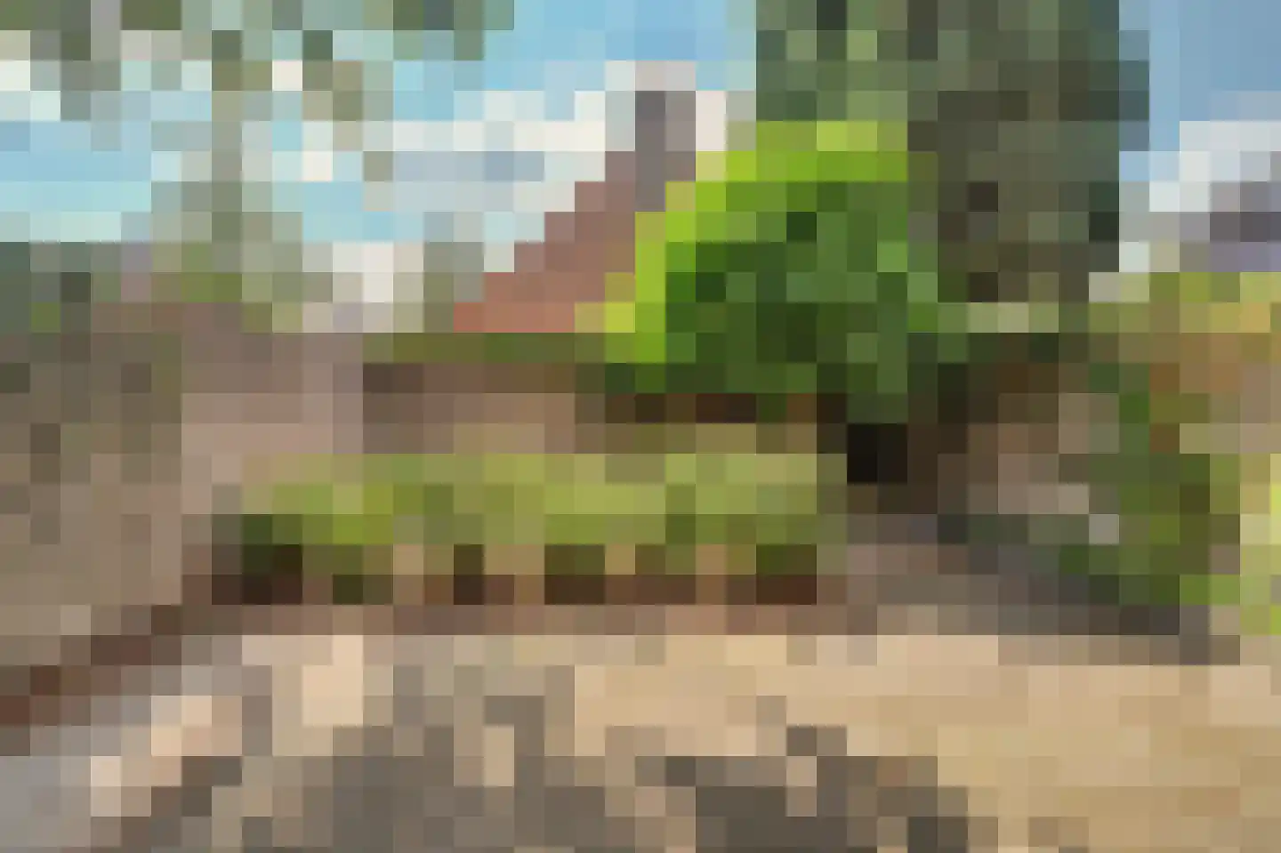 Cantorijstraat 9 Hilvarenbeek thumbnail 23