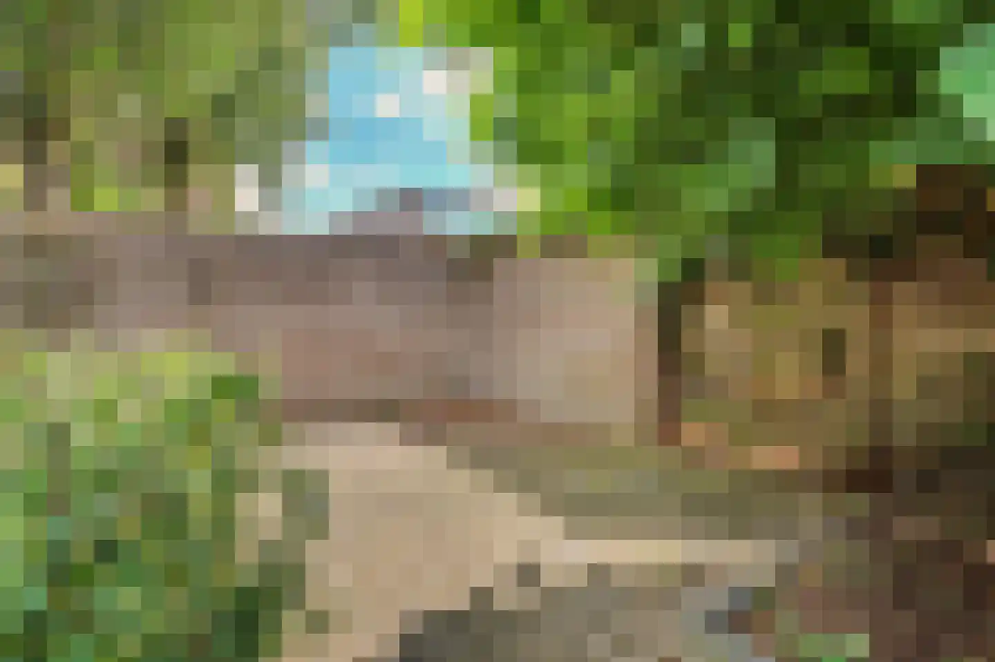 Cantorijstraat 9 Hilvarenbeek thumbnail 24