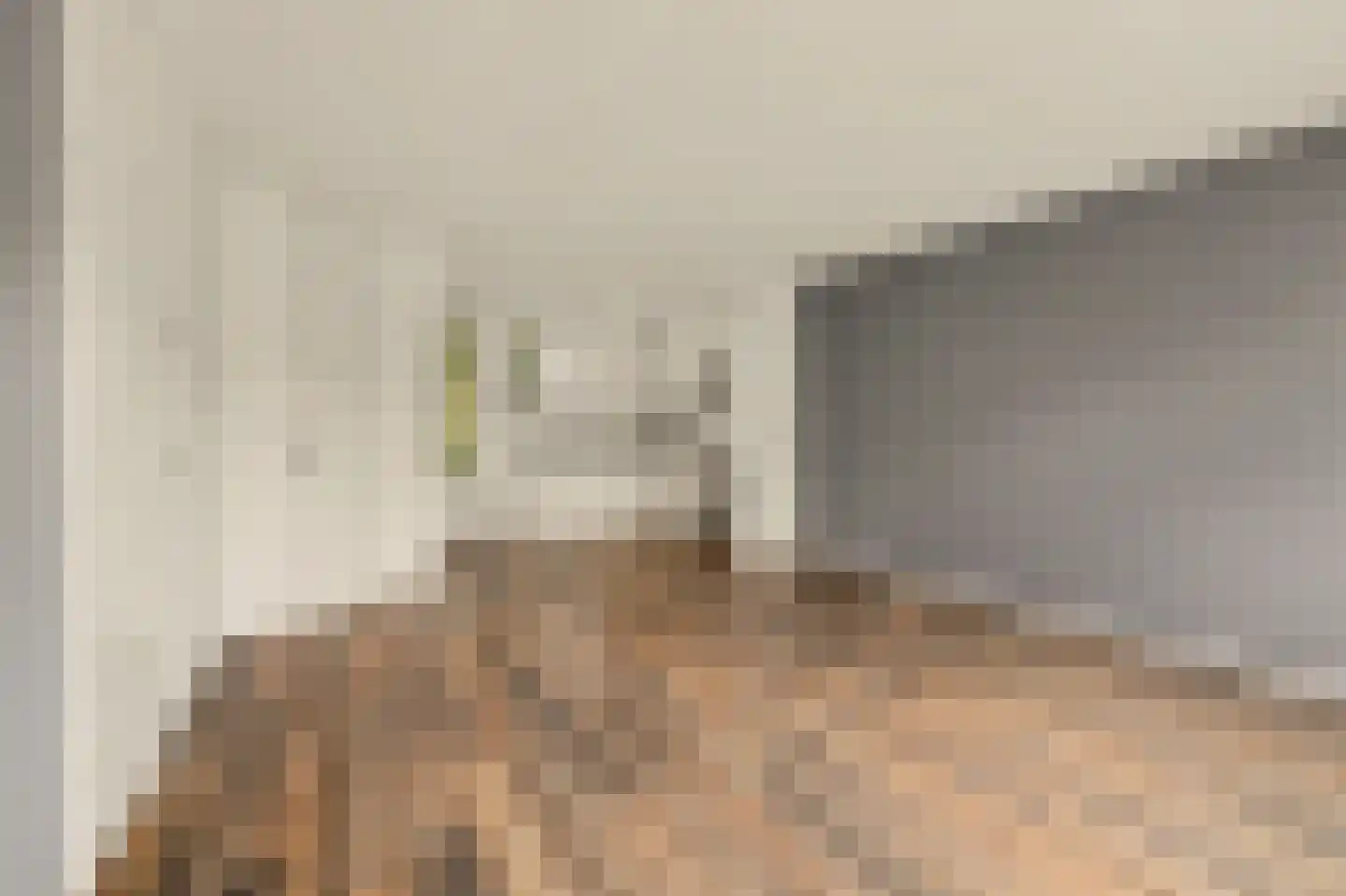 Cantorijstraat 9 Hilvarenbeek thumbnail 7