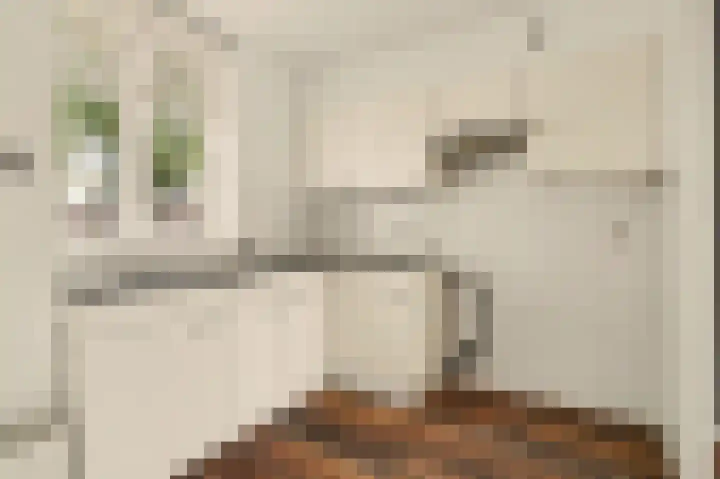 Cantorijstraat 9 Hilvarenbeek thumbnail 9