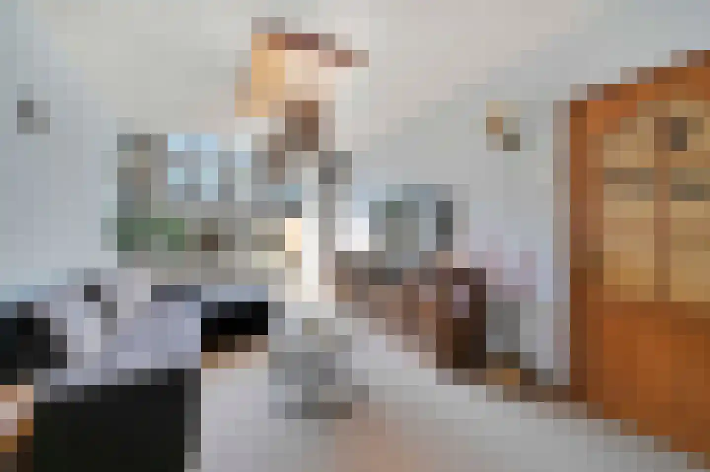Capadosestraat 68 Den Haag thumbnail 8