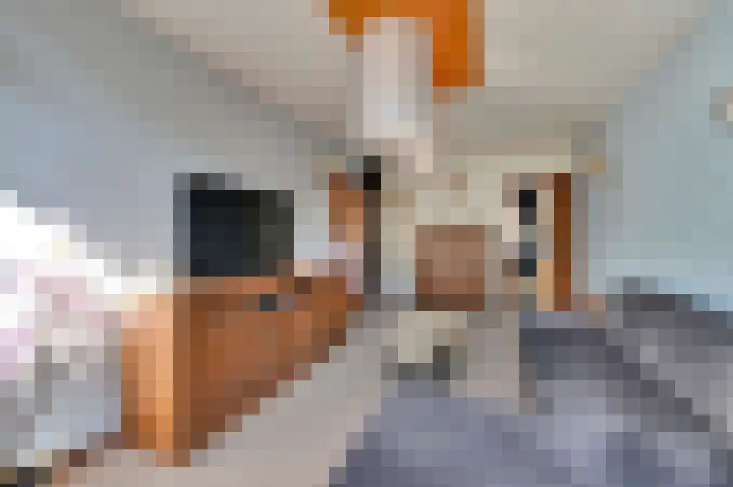 Capadosestraat 68 Den Haag thumbnail 9