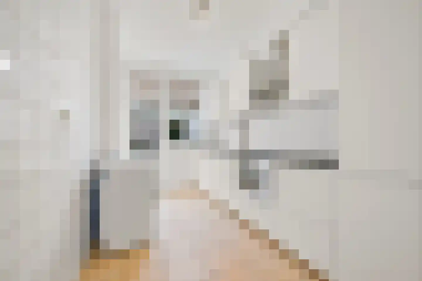 Capadosestraat 92 Den Haag thumbnail 14