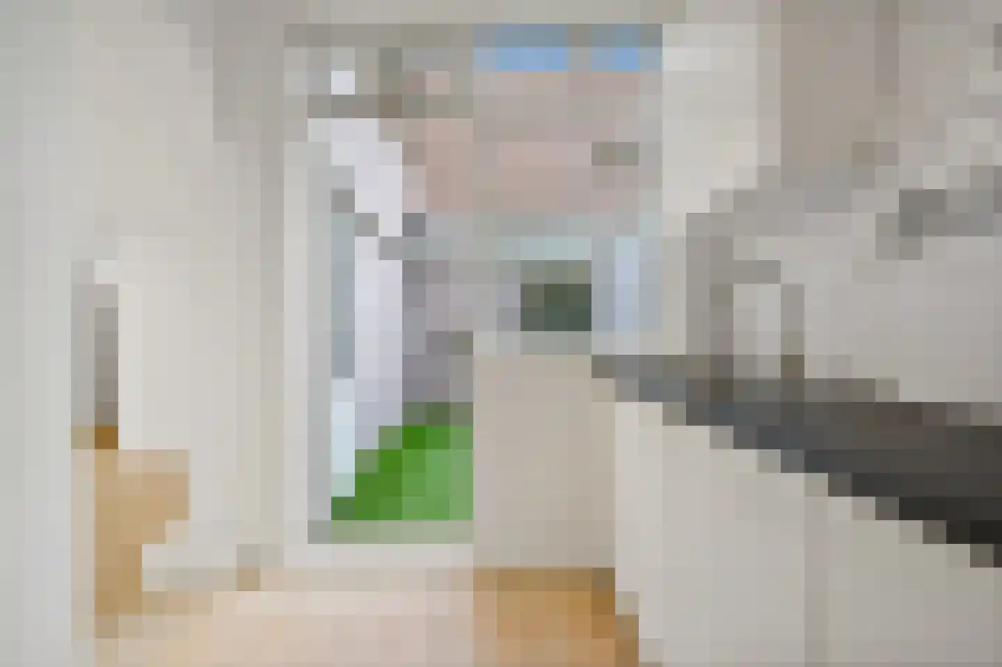 Capadosestraat 92 Den Haag thumbnail 15